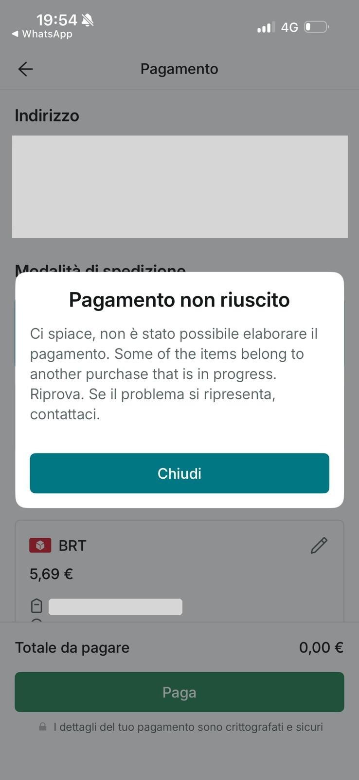 Schermata di pagamento non riuscito: alcuni articoli appartengono a un altro acquisto già in corso